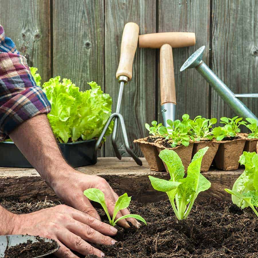 Lolo Espace Vert : plantation à Loir en Vallée, Montval-sur-Loir (72) & Montoire-sur-le-Loir (28)