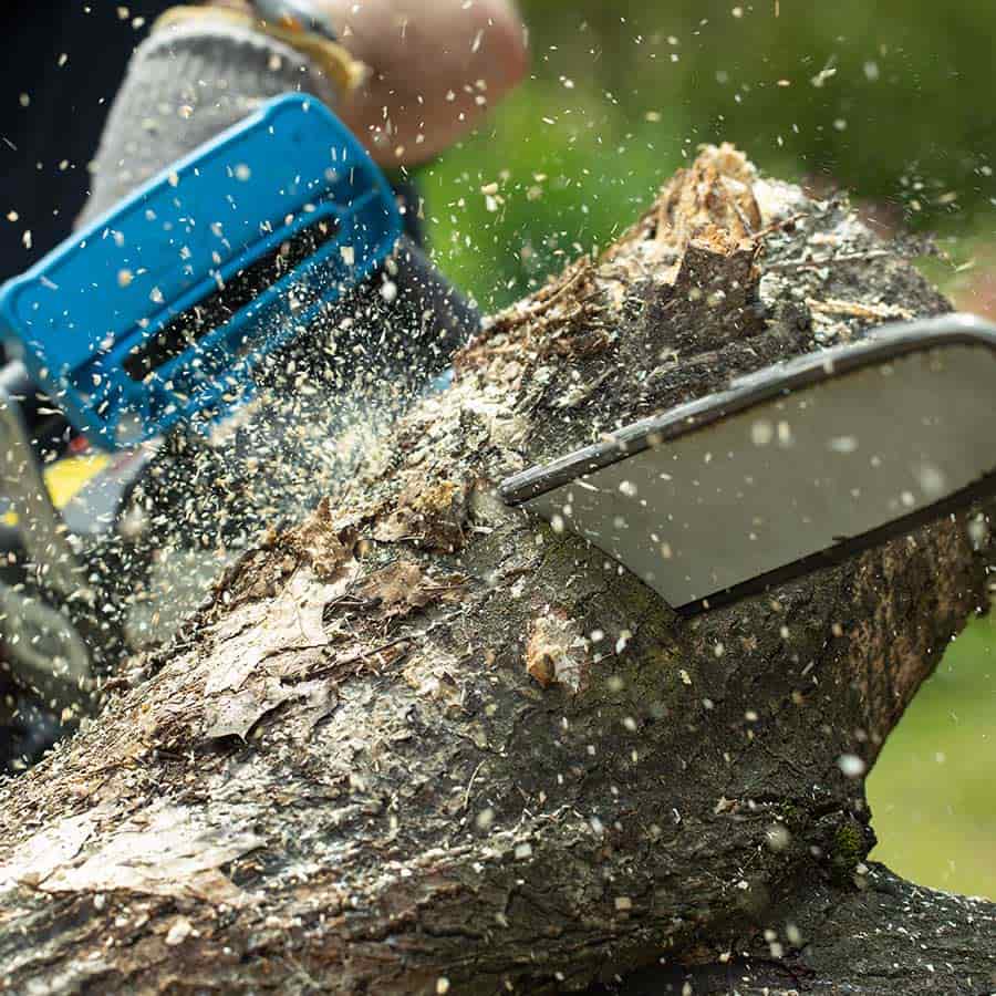 Lolo Espace Vert : abattage arbre à Loir en Vallée, Montval-sur-Loir (72) & Montoire-sur-le-Loir (28)